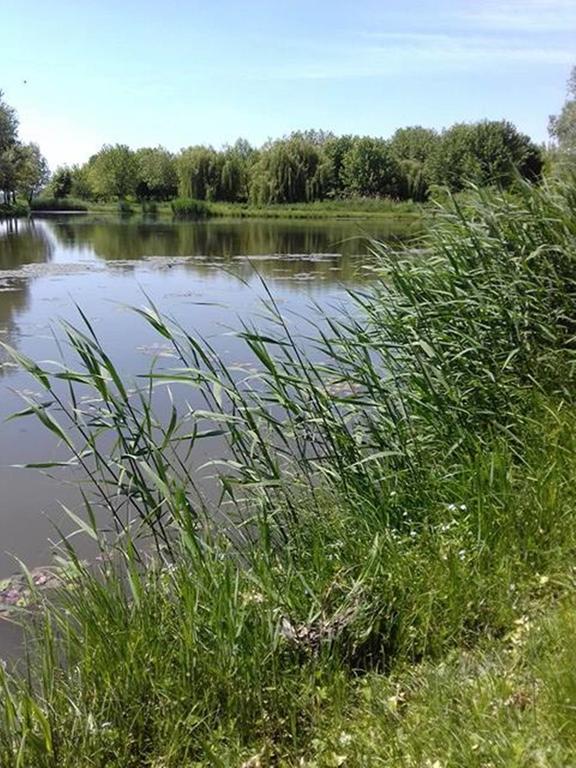 Levendula Haz Villa Lipot Bagian luar foto